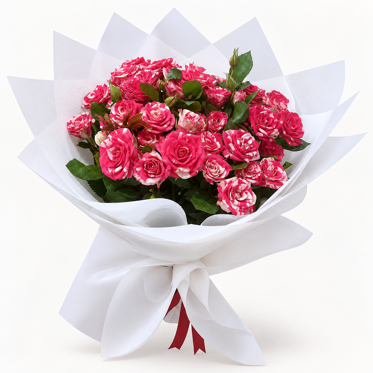 10 Pink Tiger Baby Roses Bouquet with two-tone blooms