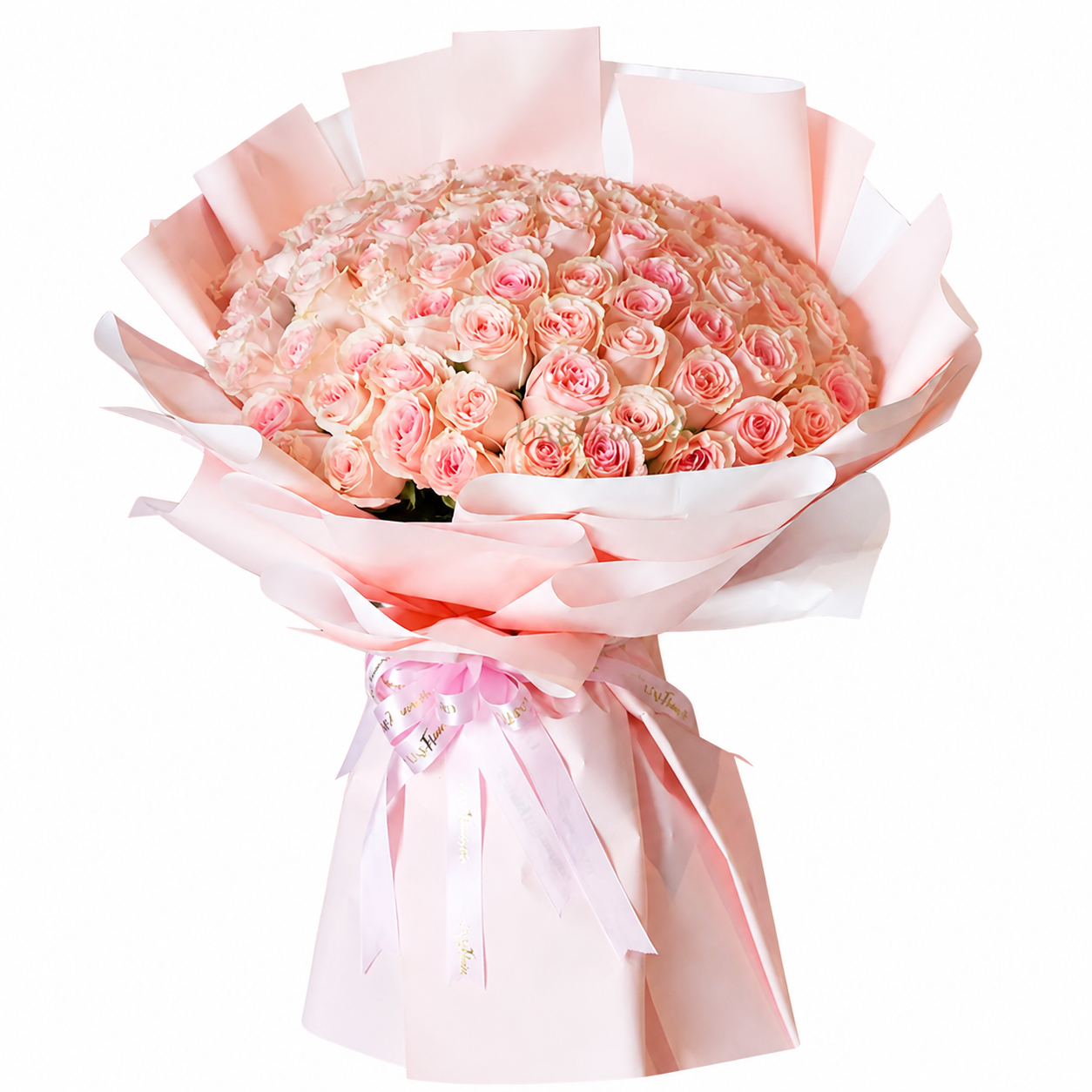 100 pink roses anniversary bouquet with premium floral wrapping