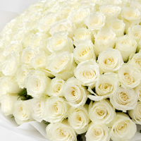 Close-up of 100 fresh white roses bouquet with premium white wrapping