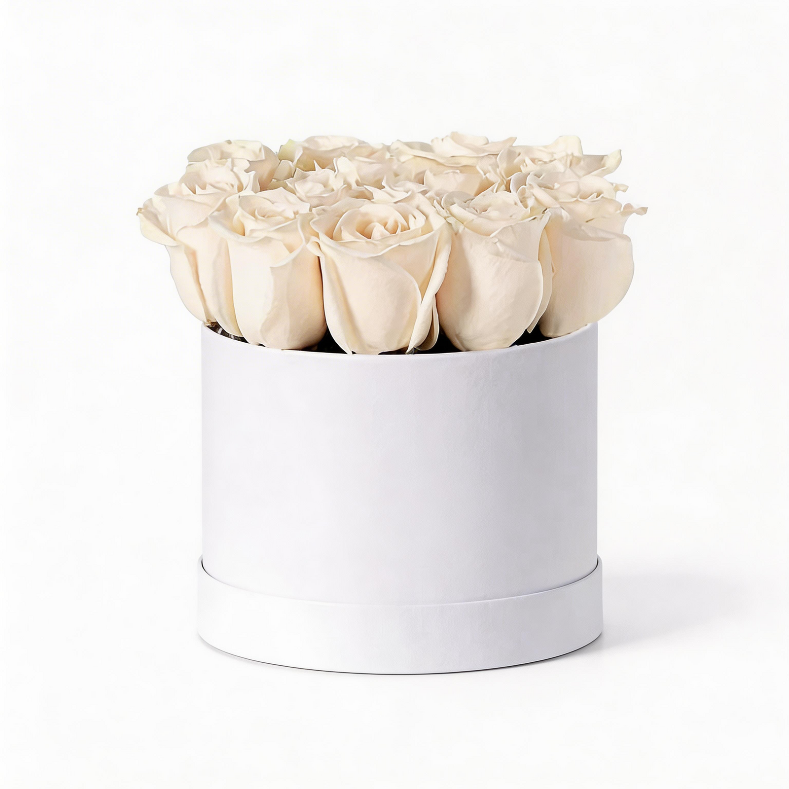 20 white roses flower box, a premium rose delivery in Kuwait to send luxury gifts for anniversaries and every occasion. flowers in kuwait