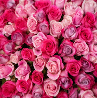 Full view of 200 mixed roses arranged in a luxury white flower box with same-day flower delivery in Kuwait.