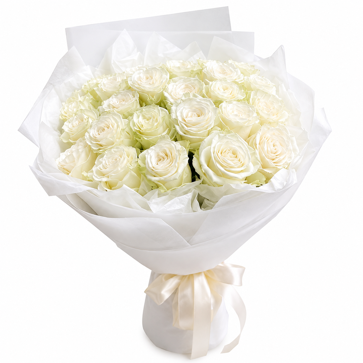 25 fresh white roses hand-tied bouquet with elegant white wrapping