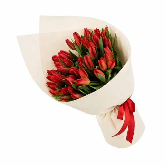 50 Red Tulips Bouquet with ivory wrapping and red ribbon for same-day flower delivery in Kuwait.