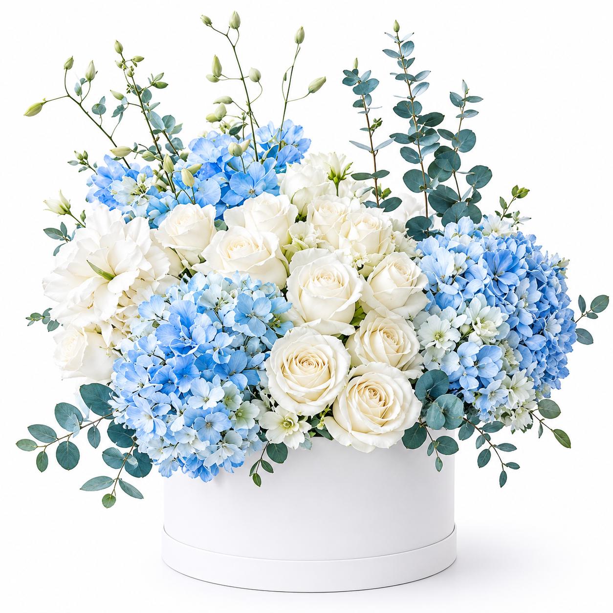 Elegant Blue Flower Box with 2 blue hydrangeas, 20 white roses, 5 white orchids and blue-painted eucalyptus arranged in a luxury white flower box.