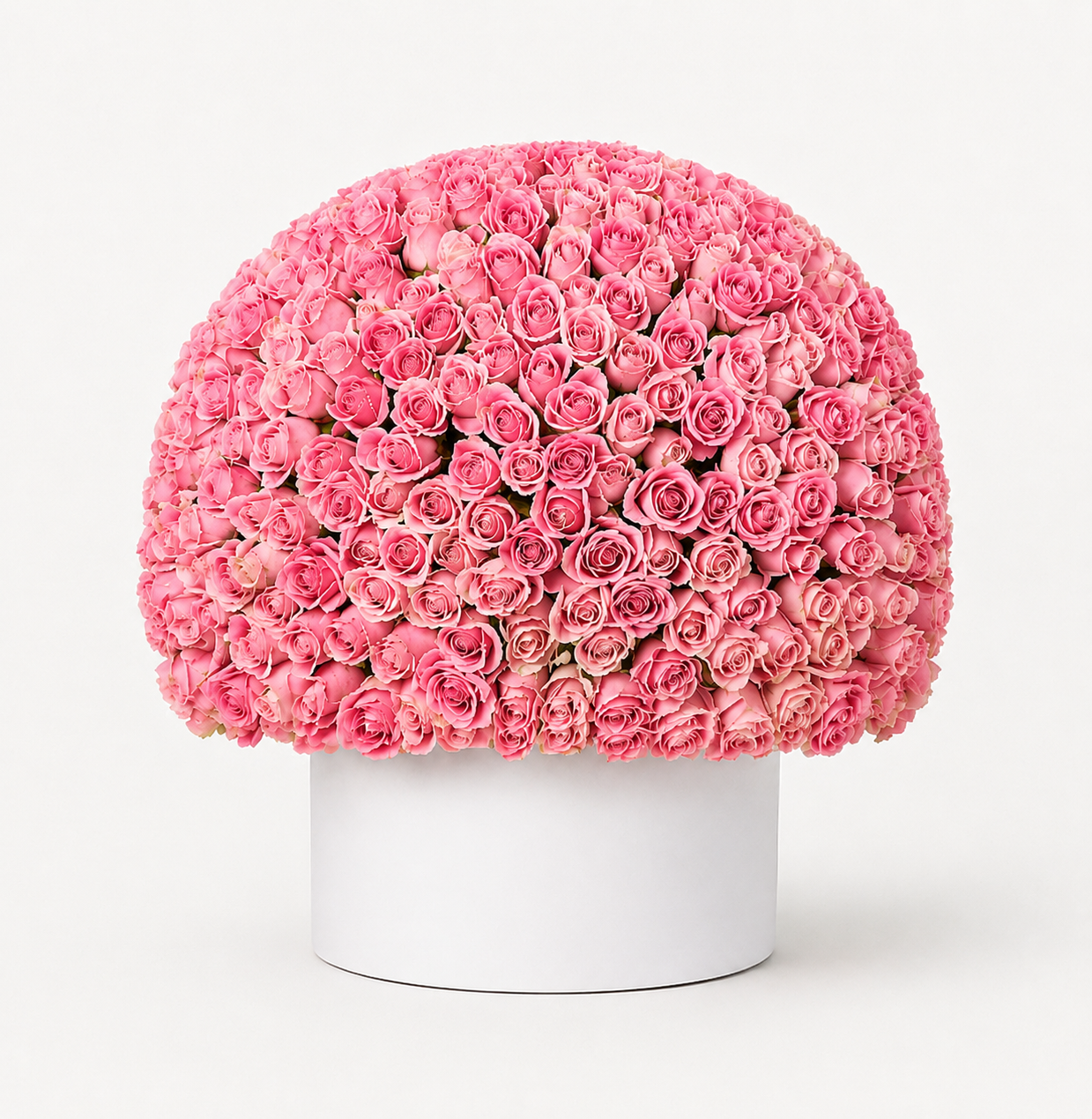 Pink Paradise 200 Roses Box