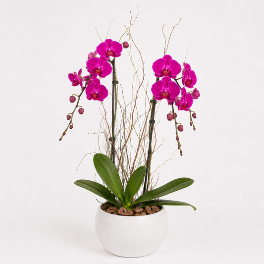 Elegant Purple Orchid Vase Arrangement