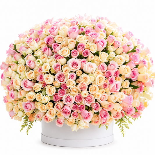 Blush & Ivory Rose Luxury Flower Box – 150 Roses