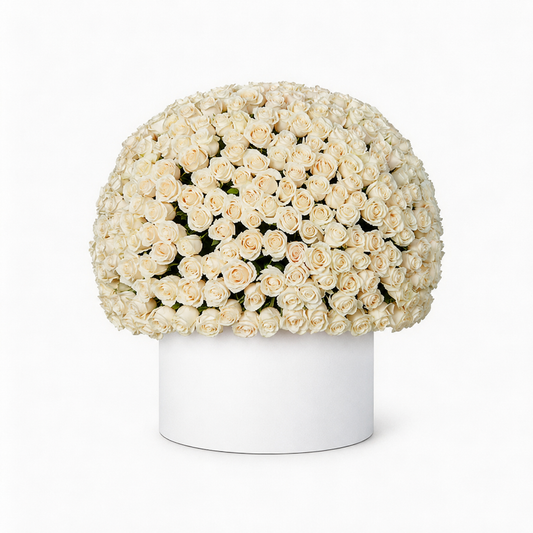 Ivory Majesty – 200 White Roses Grand Box