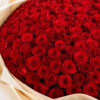 1000 Red Roses Grand Luxury Bouquet
