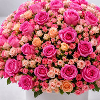 Pretty Pink & Peach Baby Rose Box