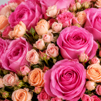 Pretty Pink & Peach Baby Rose Box