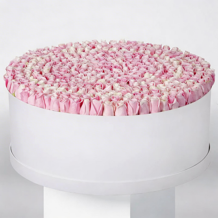 500 Premium Pink Roses in Luxury XXXL White Hatbox Arrangement