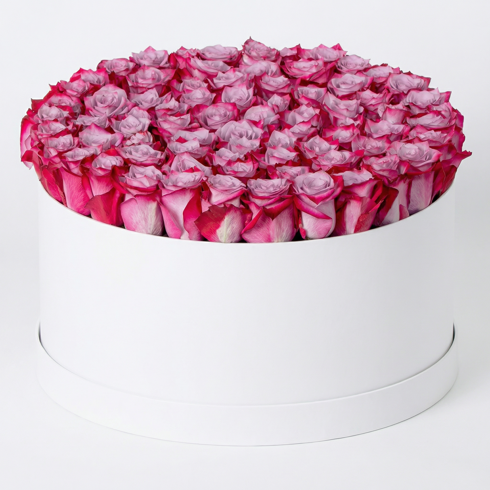 60 Purple Roses Luxury Box