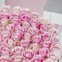 Sweet Blush Pink Rose Luxury Flower Box – 60 Roses