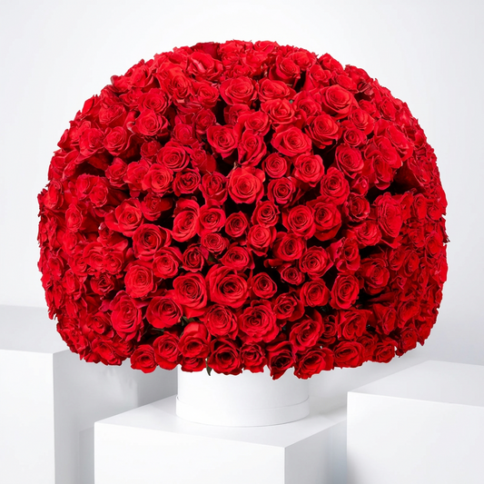 365 Roses Royal Collection