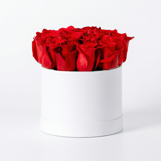 Petite Red Rose Hatbox Arrangement with Black Ribbon