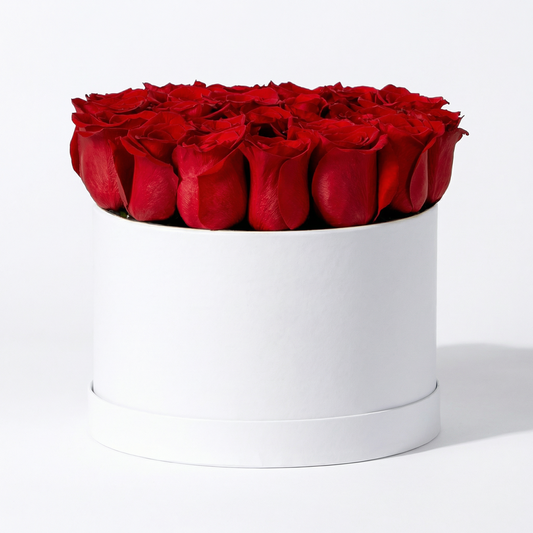 Luxury Red Rose Hatbox Arrangement with Classic Black Ribbon
