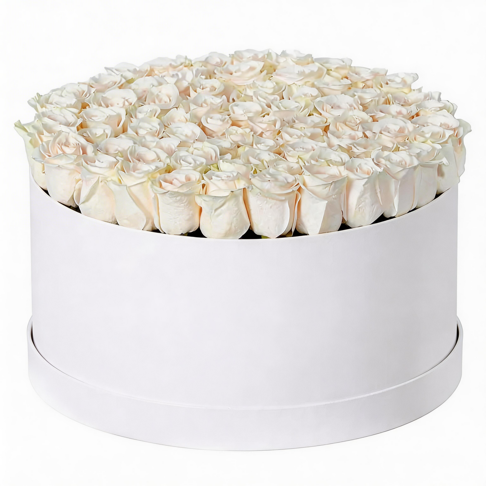 White Velvet Rose Box