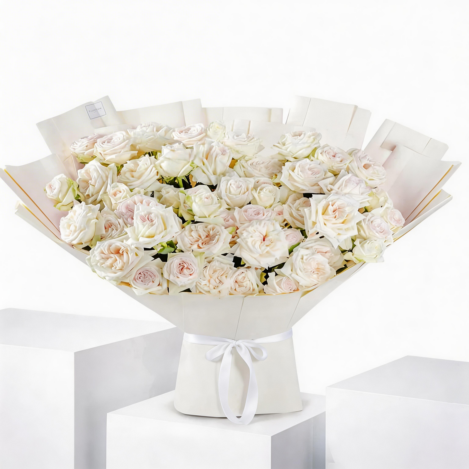 50 Premium White O'Hara Garden Roses – Elegant Fragrant Bloom Bundle