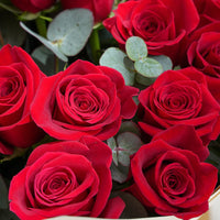 Elegant Hand-Tied Bouquet of 25 Red Roses for Anniversary Celebration