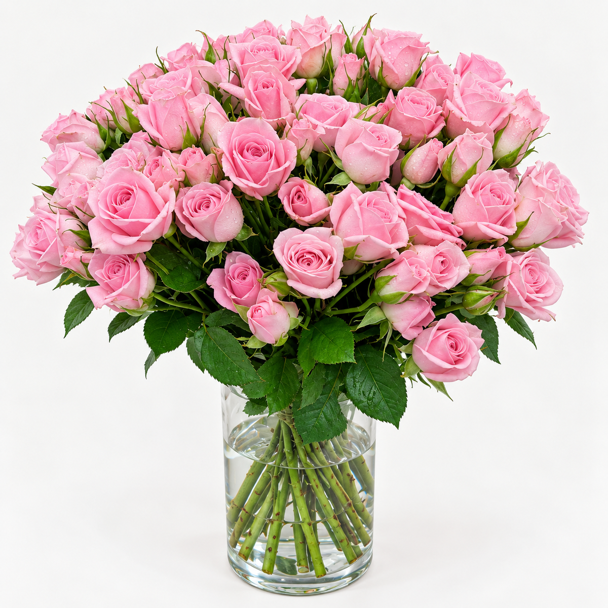 20 blush pink baby roses arranged in a vase