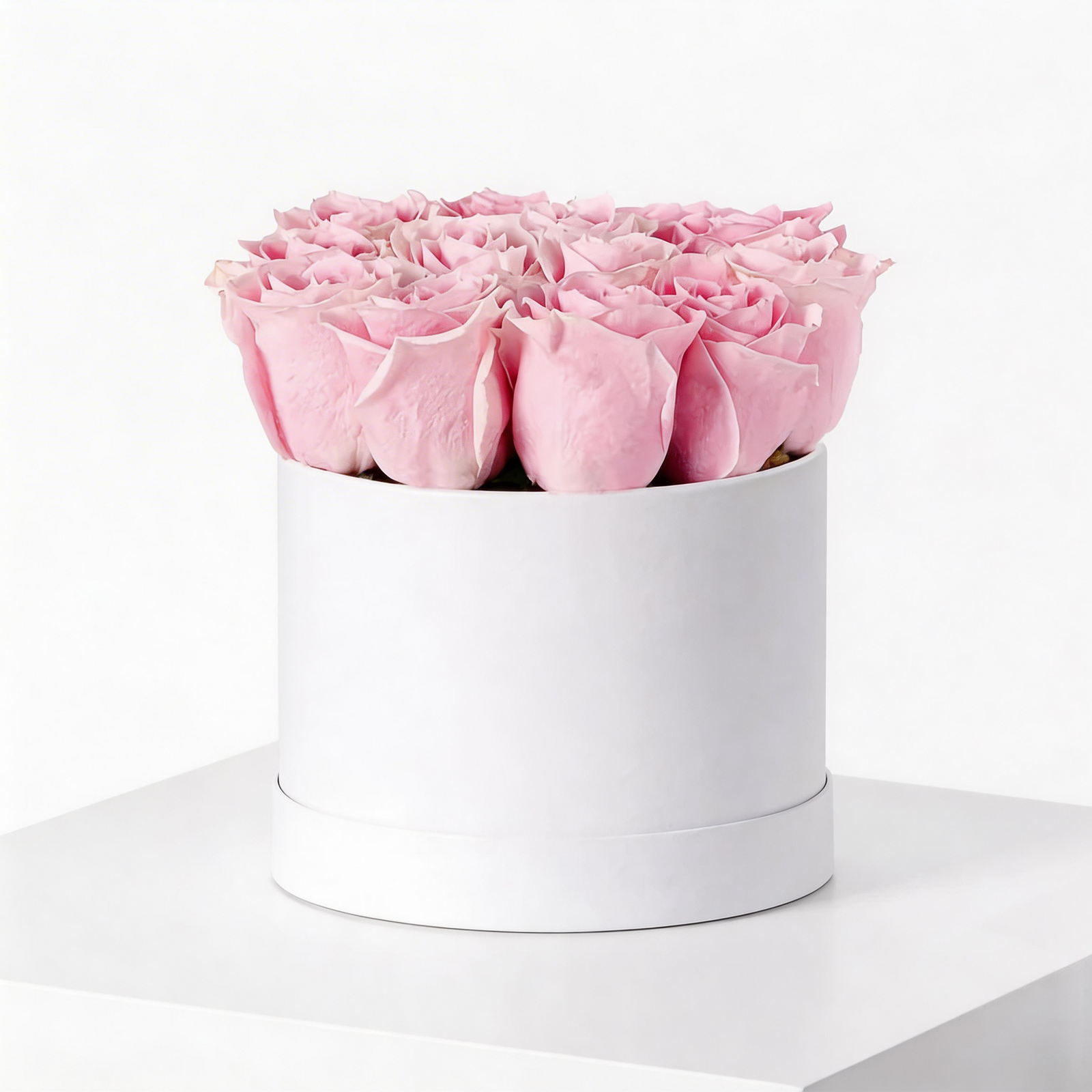 Blush Elegance – 20 Pink Roses in White Box