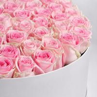60 premium blush pink roses arranged in a luxury white round flower box.