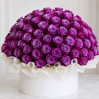 100 purple roses in a white flower box | Same Day Flower Delivery Kuwait