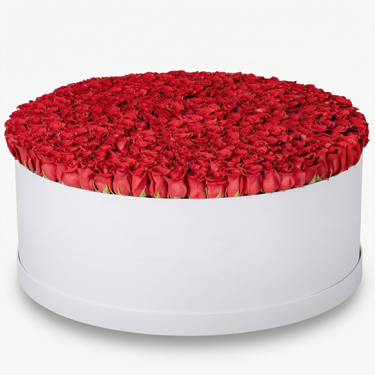 Royal Bloom 500 Roses Collection