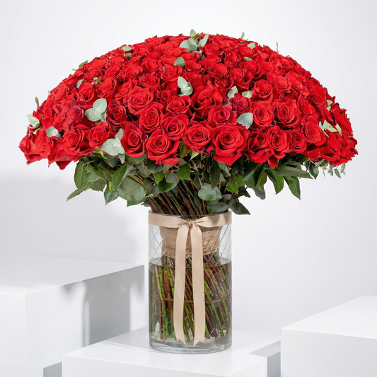 Luxury 200 Red Roses in Vase