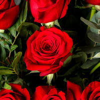 Aurora – Hand-Tied Bouquet of 50 Long-Stemmed Red Roses