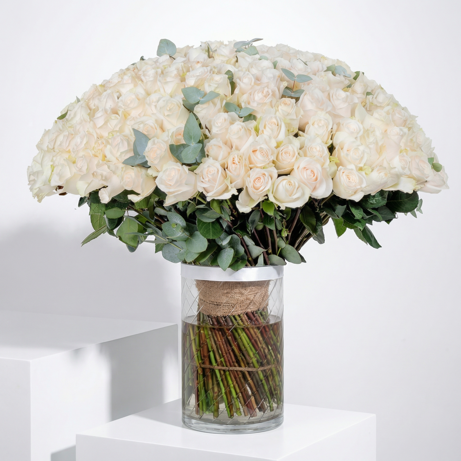 Luxury 200 White Rose Arrangement in Elegant Vase
