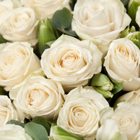 365 white roses flower box with fresh eucalyptus | Florist Kuwait