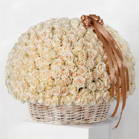 Elegant Basket Arrangement of 500 White Roses