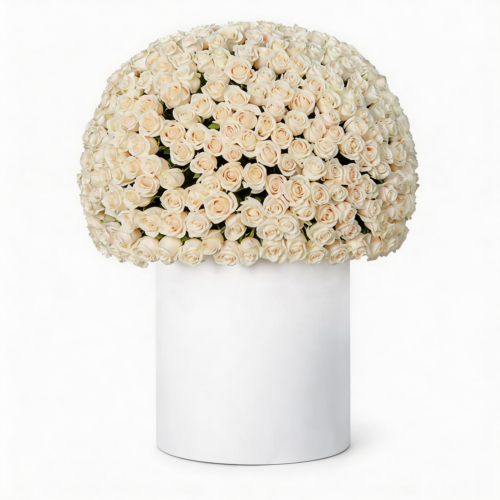 Ivory Majesty – 200 White Roses Grand Box