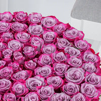 purple roses in a flower box same-day delivery in kuwait buy from flowers in kuwait.